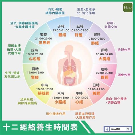 經絡時辰對照|十二時辰經絡養生對照表 十二時辰對應五行